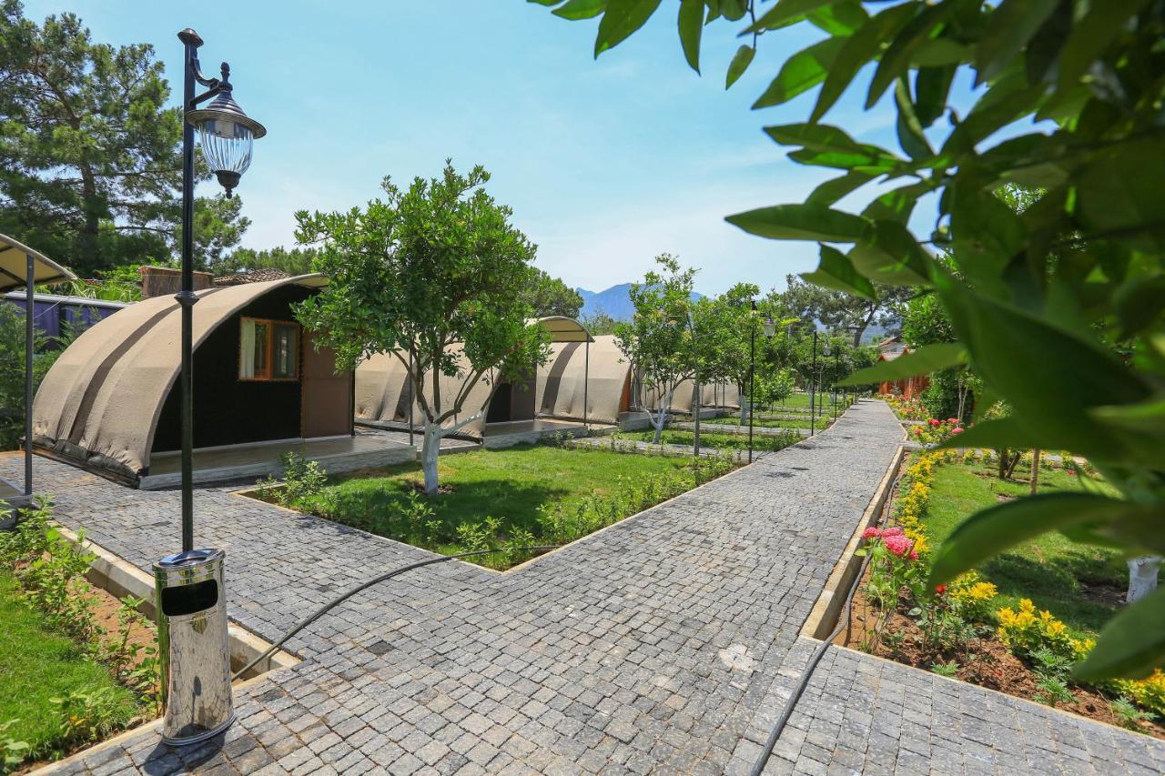 Merry Bungalow & Tent Çıralı 외부 사진